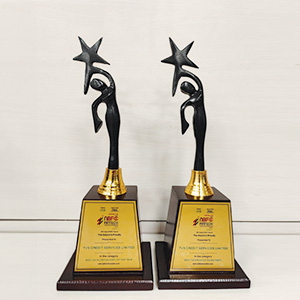 Fintech awards - TVS Credit