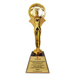 Awards on banking & financial sector - TVS Credit