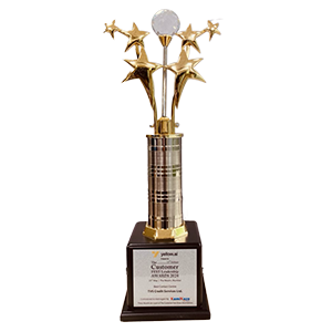 Customer fest award - TVS Credit