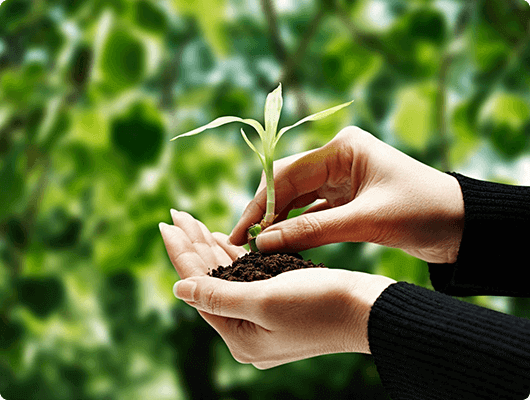 TVS Credit - Know our brand