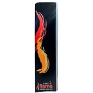 RMAI award - TVS Credit