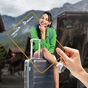 Credit Cards Offered by TVS Credit